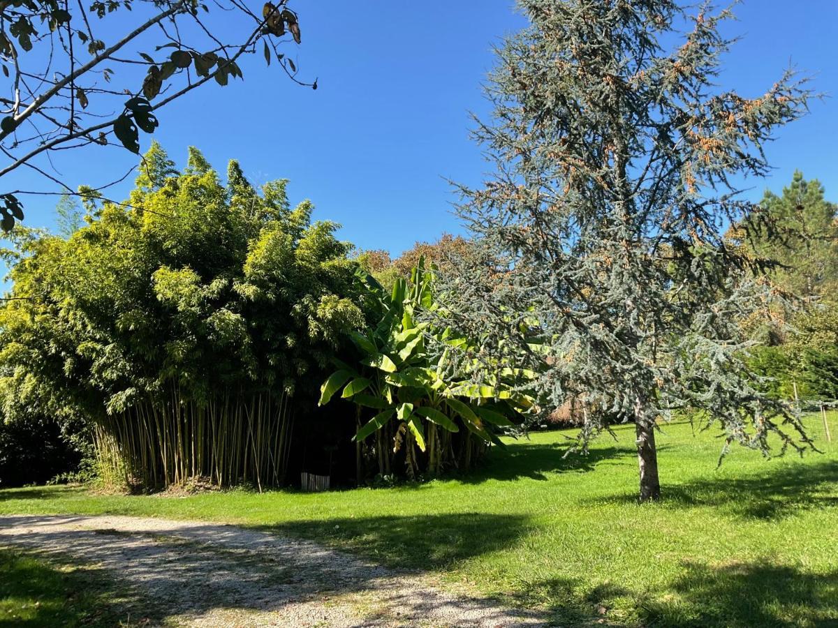 Le Clos Du Benestar Mauvezin-d'Armagnac Екстер'єр фото